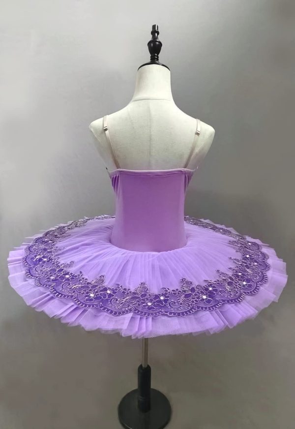 Professional Swan Lake Dance Costumes Kids Womens Ballet Skirt Girls Pancake Tutu Dress